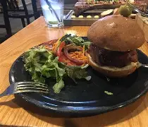 哥斯达黎加-力克巴拿马，圆满出线的简单介绍