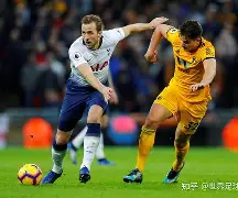 热刺后防核心强大,成为球队稳定力量的简单介绍 热刺后防核心强大,成为球队稳定力量的简单介绍