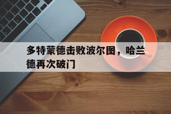 多特蒙德击败波尔图，哈兰德再次破门